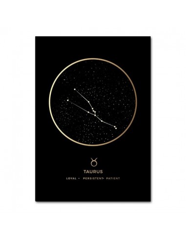 Affiche Constellation Taureau de l' environnement