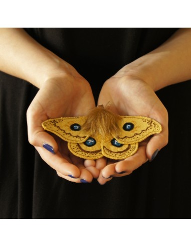 Silk Moth Tau Emperor Fiber Art Brooch Entomology Jewelry 50-70% off 