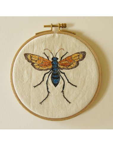 Hoop Embroidery Tarantula Hawk Wasp de France