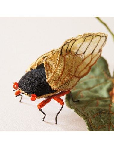 Periodical Cicada Fiber Art Magicicada septendecim Textile Sculpture en ligne des produits 