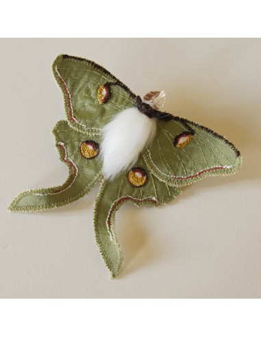 Luna Moth Brooch Entomology Jewelry Last one rembourrage situé sous