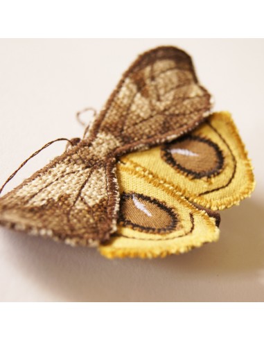 Fiber Art  Eyespot Moth brooch yellow and brown store