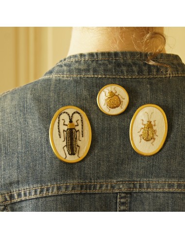 Golden long-horn beetle brooch hand embroidered entomology 50% de réduction en Octobre 2024